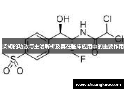 柴胡的功效与主治解析及其在临床应用中的重要作用